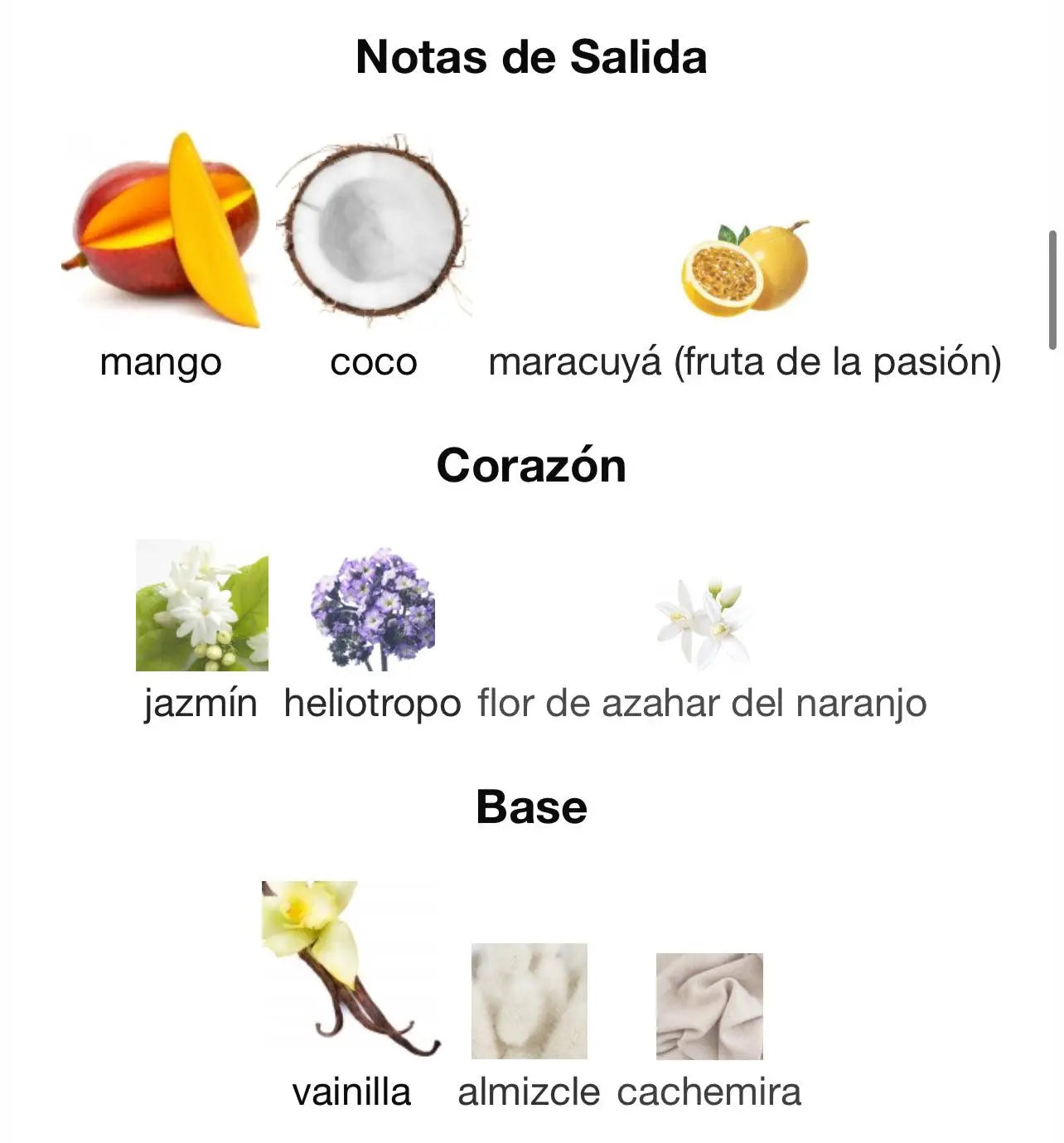 Lattafa Yara Tous 100ml ORIGINAL| OFERTA UNICA